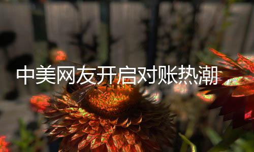 中美網(wǎng)友開啟對賬熱潮，一場跨洋的云端交流風(fēng)暴
