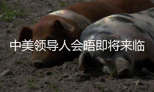 中美領(lǐng)導(dǎo)人會晤即將來臨，中方回應(yīng)與期待