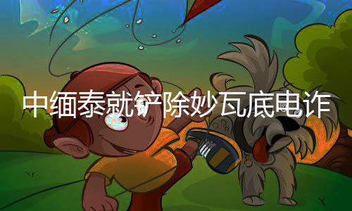 中緬泰就鏟除妙瓦底電詐窩點達(dá)成共識