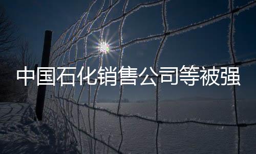 中國石化銷售公司等被強制執(zhí)行1.1億，深度解析事件背景與影響