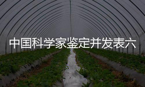 中國科學(xué)家鑒定并發(fā)表六個南極細(xì)菌新屬，揭示地球最冷地區(qū)的生命奧秘