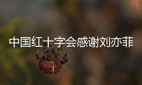 中國紅十字會(huì)感謝劉亦菲捐贈(zèng)取暖火爐，冬日暖流傳遍人心