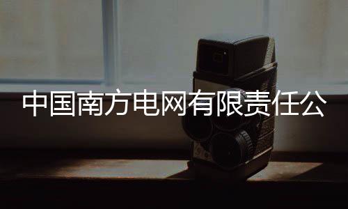 中國南方電網(wǎng)有限責(zé)任公司原黨組成員、紀(jì)檢監(jiān)察組組長龍飛受賄案一審開庭