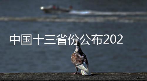 中國十三省份公布2024年人口數(shù)量預測，趨勢分析與挑戰(zhàn)應對