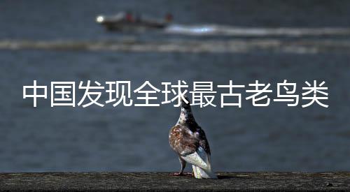 中國發(fā)現(xiàn)全球最古老鳥類“政和八閩鳥” 改寫鳥類演化史