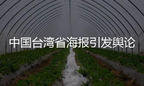 中國(guó)臺(tái)灣省海報(bào)引發(fā)輿論風(fēng)暴，民進(jìn)黨當(dāng)局破防應(yīng)對(duì)