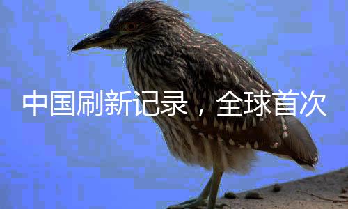 中國(guó)刷新記錄，全球首次地下萬(wàn)米油氣探測(cè)成功