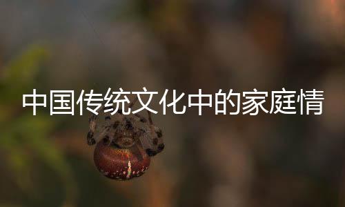 中國傳統(tǒng)文化中的家庭情懷，過年為什么要走親戚