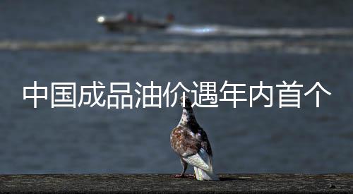 中國成品油價遇年內(nèi)首個“三連跌”