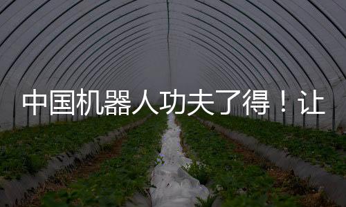 中國(guó)機(jī)器人功夫了得！讓美媒“驚掉下巴”