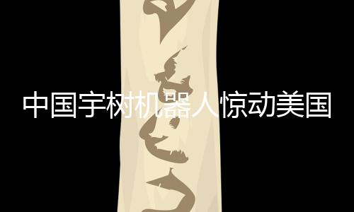 中國(guó)宇樹機(jī)器人驚動(dòng)美國(guó) 波士頓動(dòng)力果斷購(gòu)買一探究竟