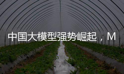 中國大模型強(qiáng)勢崛起，Meta陷入恐慌模式