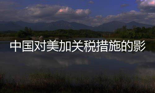 中國對(duì)美加關(guān)稅措施的影響及前景展望