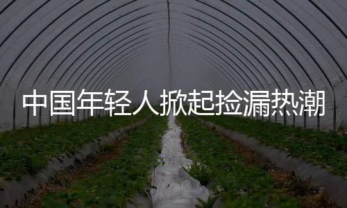 中國年輕人掀起撿漏熱潮，日本低價(jià)中古屋成新寵