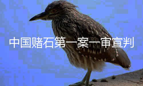 中國賭石第一案一審宣判，揭示行業(yè)亂象，警醒公眾警惕非法利益誘惑