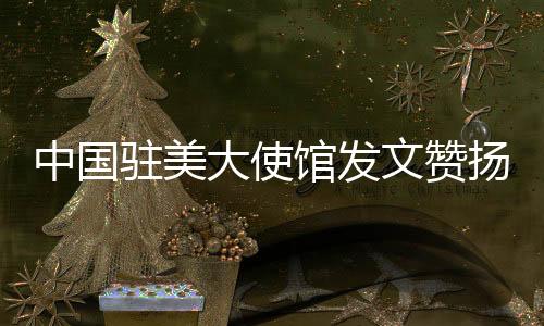中國駐美大使館發(fā)文贊揚(yáng)甲亢哥中國行，文化交流展現(xiàn)友好新篇章
