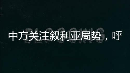中方關(guān)注敘利亞局勢(shì)，呼吁各方保持克制，推動(dòng)政治解決危機(jī)