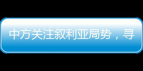 中方關(guān)注敘利亞局勢，尋求持久和平的解決之道