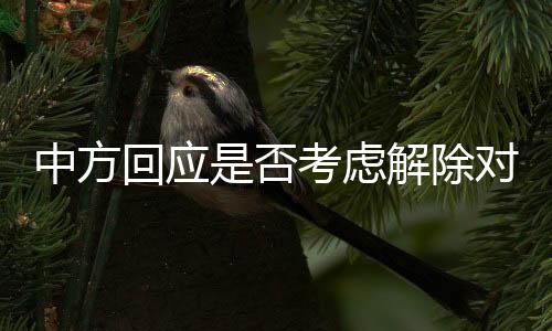 中方回應是否考慮解除對魯比奧制裁