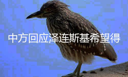 中方回應(yīng)澤連斯基希望得到中國幫助，深度分析與多元解讀