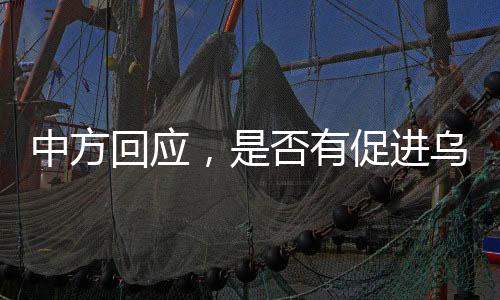 中方回應(yīng)，是否有促進(jìn)烏克蘭和平新計(jì)劃