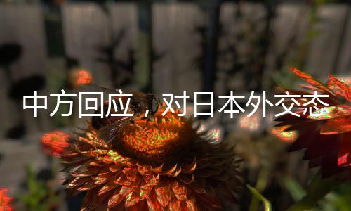 中方回應(yīng)，對日本外交態(tài)度將更加嚴厲