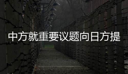 中方就重要議題向日方提出交涉，深化合作，共謀發(fā)展