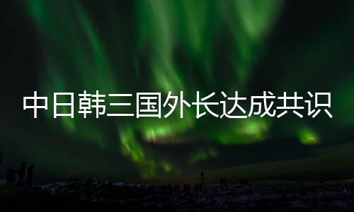 中日韓三國外長達(dá)成共識，深化合作，促進(jìn)地區(qū)和平與發(fā)展