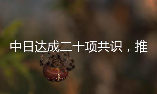 中日達(dá)成二十項(xiàng)共識(shí)，推動(dòng)兩國(guó)關(guān)系邁向新篇章