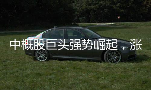 中概股巨頭強(qiáng)勢(shì)崛起，漲幅一度超過(guò)900%！