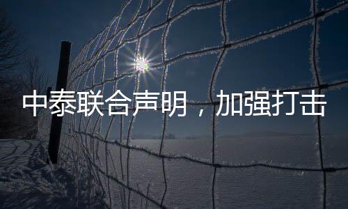 中泰聯(lián)合聲明，加強打擊人口販運