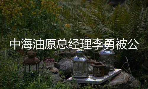 中海油原總經(jīng)理李勇被公訴，涉案細(xì)節(jié)深度解析