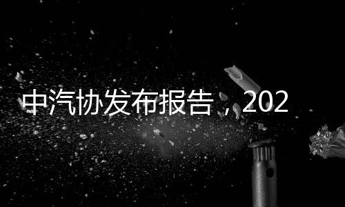 中汽協(xié)發(fā)布報告，2024年12月汽車出口量達50.4萬輛