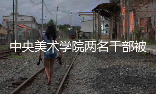 中央美術(shù)學(xué)院兩名干部被查，反腐敗工作在文藝界深入推進(jìn)