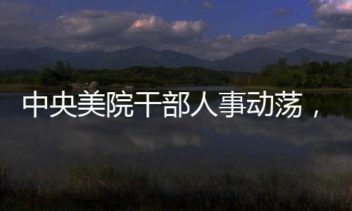 中央美院干部人事動蕩，兩名干部被調(diào)查，一人主動投案，內(nèi)部反腐力度加強