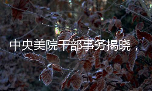 中央美院干部事務(wù)揭曉，兩官被查，一人主動投案