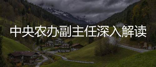 中央農辦副主任深入解讀農村陋習整治行動