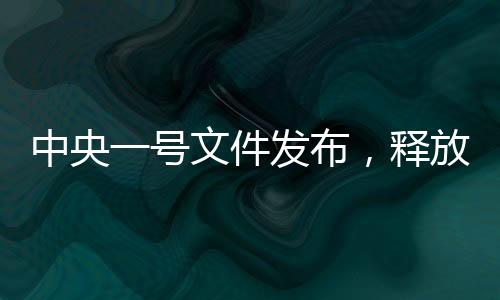 中央一號(hào)文件發(fā)布，釋放多重新信號(hào)，引領(lǐng)未來發(fā)展新方向