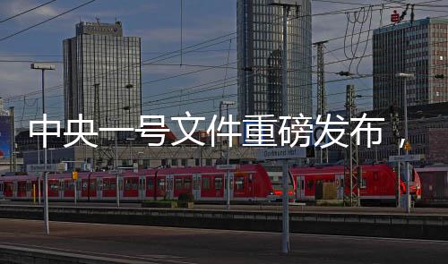 中央一號文件重磅發(fā)布，提高城鄉(xiāng)居民養(yǎng)老金