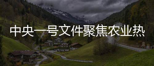 中央一號文件聚焦農(nóng)業(yè)熱點，揭秘其中的高頻詞匯