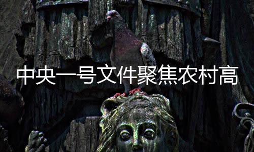 中央一號(hào)文件聚焦農(nóng)村高額彩禮治理，倡導(dǎo)文明新風(fēng)重塑鄉(xiāng)村風(fēng)貌