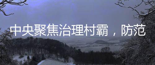 中央聚焦治理村霸，防范遏制地方黑惡勢力