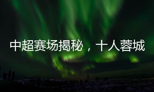 中超賽場(chǎng)揭秘，十人蓉城隊(duì)1-2遺憾落敗于津門虎之役——戰(zhàn)術(shù)、人員、賽況全景解析