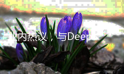 業(yè)內(nèi)熱議，與DeepSeek并肩之路，非自封可得