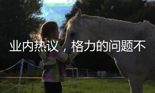 業(yè)內(nèi)熱議，格力的問(wèn)題不在于是否改名