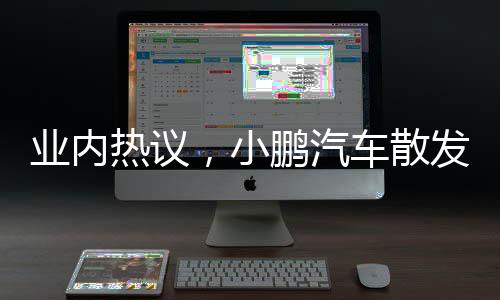 業(yè)內(nèi)熱議，小鵬汽車散發(fā)出雷軍味兒