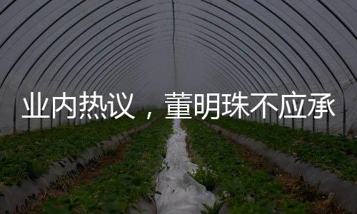 業(yè)內(nèi)熱議，董明珠不應(yīng)承受如此嚴(yán)厲的指責(zé)