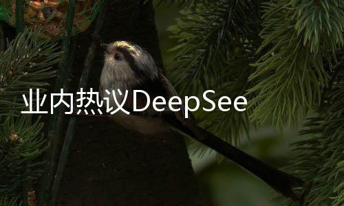 業(yè)內(nèi)熱議DeepSeek創(chuàng)始人，技術(shù)理想主義的踐行者