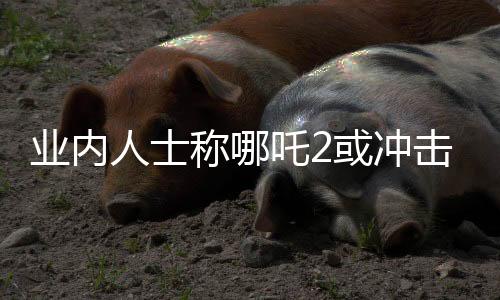 業(yè)內(nèi)人士稱哪吒2或沖擊全球影史前三，引發(fā)期待熱潮