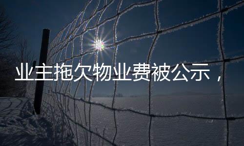 業(yè)主拖欠物業(yè)費(fèi)被公示，法院判決揭曉